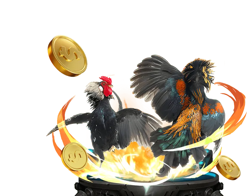 Phân tích chiến lược cá cược thể thao Tha Ku Casino